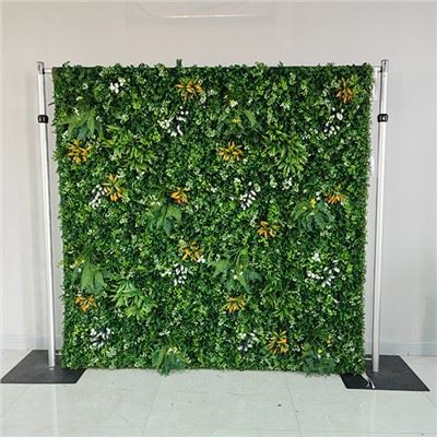 Fundal foto de perete cu iarbă