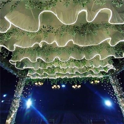 Wedding Ceiling Drapes With Lights
